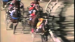 Harness Racing,Albion Park-21/04/1993 Inter-Dominion Heat-4 (Christopher Vance-A.G.Herlihy)