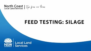 Tips from our Team - Feed Testing: Silage