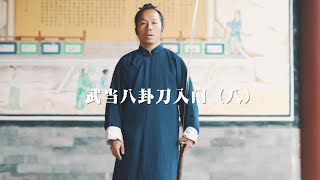 武当八卦刀教学第9讲（Wudang Kungfu Ba Gua Dao teaching）