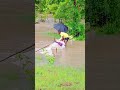 heavy rain heavy fishing pramod sahu sambalpuri vlog.