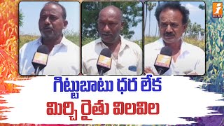 గిట్టుబాటు ధర లేక మిర్చి రైతు విలవిల | Ground Report | Mirchi Farmers | iNews