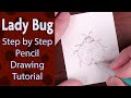 How to Draw a Ladybug – Easy Step-by-Step Pencil Drawing for Beginners