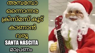 ഒന്നരയേക്കറിൽ മെഗാ പുൽകൂട്, മാപ്രണത്ത് ക്രിസ്മസ് ആഘോഷം വേറെ ലെവൽ. Mega Christmas Crib