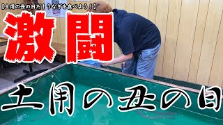 土用の丑の日にうなぎ釣って食べてみた！！