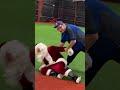 practicing my tackling for the super bowl on santa nfl fun tackle santa happyholidays