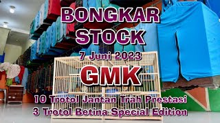 Bongkar Stock Trotol Murai GMK Trah Prestasi 7 Juni 2023