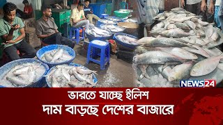 ভরা মৌসুমেও ধরা ছোঁয়ার বাইরে ইলিশ | Hilsa Price in Bangladesh | BD Hilsa  News | News24