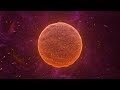 SACRAL CHAKRA HEALING MEDITATION MUSIC || Open Sacral Chakra to Balance Emotions and Sensuality