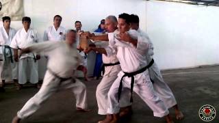 SENSEI ARAYA   http://bushidokan-kai.wix.com/senseidanielaraya