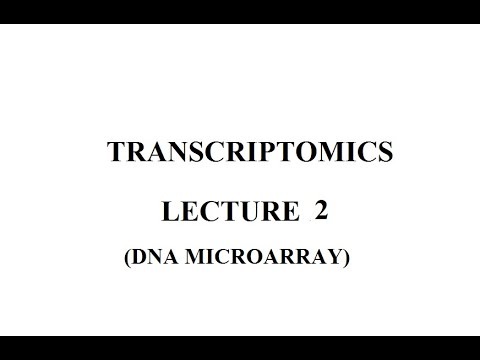 Transcriptomic 2 Youtube