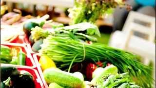Uniquely Utah: Farm-to-Table Food Culture