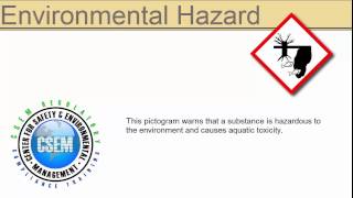 definition - pictogram environmental hazard