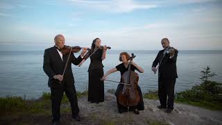 Saint John String Quartet | Northwest Passage