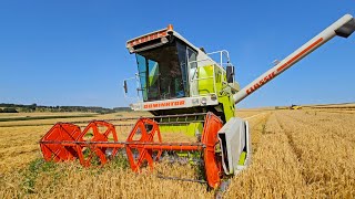 Claas Dominator 88 SL Classic Mähdrescher C 390 bei Gerste dreschen 2024 mit Farmer 104 S Turbomatik