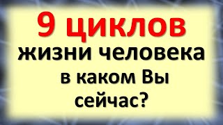 9 циклов жизни человека – в каком вы сейчас и что это для вас означает?