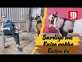 Sardiyo me Kaise Rakhe Bakro ko | Quality Kota | JD Goat Farm