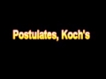 What Is The Definition Of Postulates, Koch's Medical School Terminology Dictionary