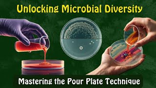 Unlocking Microbial Diversity: Pour Plate Technique Explained