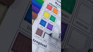 🌈Crayola washable markers classic color guide