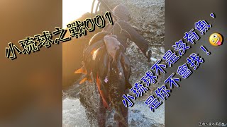 【海野人 Spearfishing 】小琉球漁獵 001 #自由潛水 #漁獵 #打魚 #小琉球