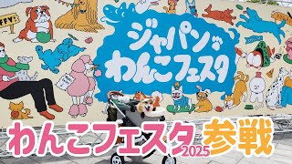 【コーギー】ジャパンわんこフェスタ2025 inお台場に行って来た日
