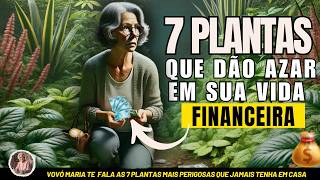 VOCÊ TEM ESSAS 7 PLANTAS ELAS ESTÃO ATRASANDO SUA VIDA FINANCEIRA - VOVÓ MARIA TE CONTA.