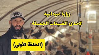 مشروع تربية الدجاج البياض زيارة ميدانية في ضيافة مزرعة محمد بلحيمر (الحلقة الأولى)