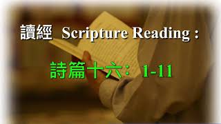 恩信华人基督教会 2020年5月24日 主日崇拜