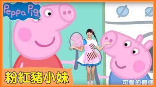 【粉紅豬小妹】全新MV！和KIWI姐姐一起唱唱跳跳！｜Peppa Pig Theme Song 佩佩豬｜卡通主題曲｜YOYOTV 歡樂登場