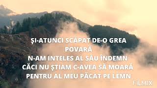 Bunătatea Lui-poezii creștine @alinamioc9133