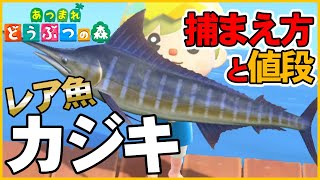 【あつ森】レア魚カジキの出現時間と場所・魚影・値段・解説・飾る【あつまれどうぶつの森AnimalCrossing】釣り方捕まえ方