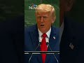 Your countries are going to hell': Trump tells Europe to end mass migration