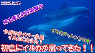 初島にイルカが帰ってきた～～～～！20220226