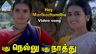 Pudhu Nellu Pudhu Naathu Tamil Movie Songs | Hey Marikozhundhu Video Song | Sukanya | Ilayaraja