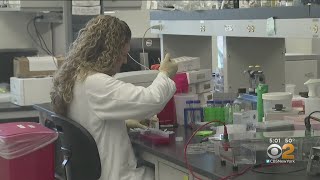Coronavirus Update: Number Of Cases In New York Rises To 22