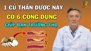 Giáo Sư Tiết Lộ 6 Tác Dụng Kỳ Diệu Của Củ Ráy Giúp Bạn Sống Trường Thọ (ÍT AI BIẾT)