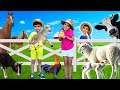 Farm Animals For KIDS | Atrin, Soren & Nikan Learn Farm Animals Family name | Kids Educational Video