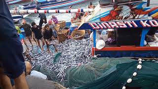 proses bongkar ikan dari kapal slerek prigi sabtu 3 - 09 - 2022