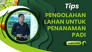 PENGOLAHAN LAHAN UNTUK PENANAMAN PADI