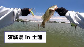 【バス釣り】茨城県　土浦釣行