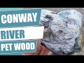 Conway river petrified wood hunt. Rockhounding in New Zealand