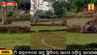 NEWS UPDATE || NEWS8 ODIA || TODAY NEWS