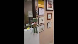 Phoenix School of Massage Entrance Tour