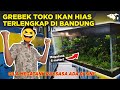 MEGATANK RAKSASA ADA DI SINI! GREBEK TOKO IKAN HIAS TERLENGKAP DI BANDUNG, IQBALIZDA PERNAH KESINI?