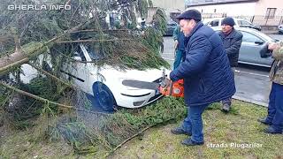 Furtuna violenta Gherla (Cluj), zboara tarabele cu martisoare 2 03 2020