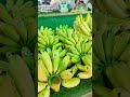 தாய்லாந்து பழக்கடை 🍑🍓 fruit shop in thailand tamilmominpattaya pattaya thailand