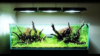 AMAZING AQUARIUM STORE: Aquaria- ADA Near Seattle Washington