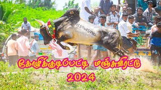 கோழிக்குடிப்பட்டி மஞ்சுவிரட்டு 2024 Kozhikkudipatti manjuvirattu