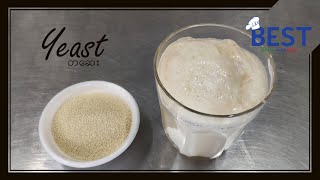 Yeast | What is Yeast ? Yeast တဆေးဆိုတာဘာလဲ? | Yeast ကောင်း မကောင်း ဘယ်လိုစမ်းရမလဲ?