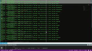 Bruteforce DVWA python tool